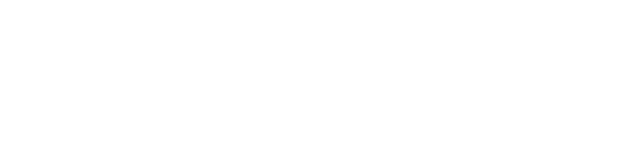 Punt team