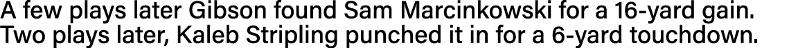 A few plays later Gibson found Sam Marcinkowski for a 16-yard gain  Two plays later, Kaleb Stripling punched it in fo   