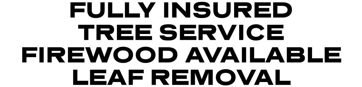 FULLY INSURED TREE SERVICE FIREWOOD AVAILABLE LEAF REMOVAL