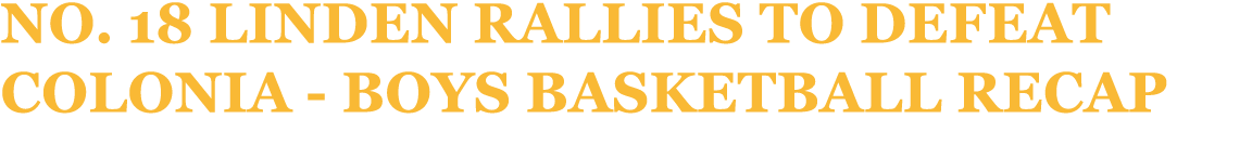 No. 18 Linden rallies to defeat Colonia Boys basketball recap