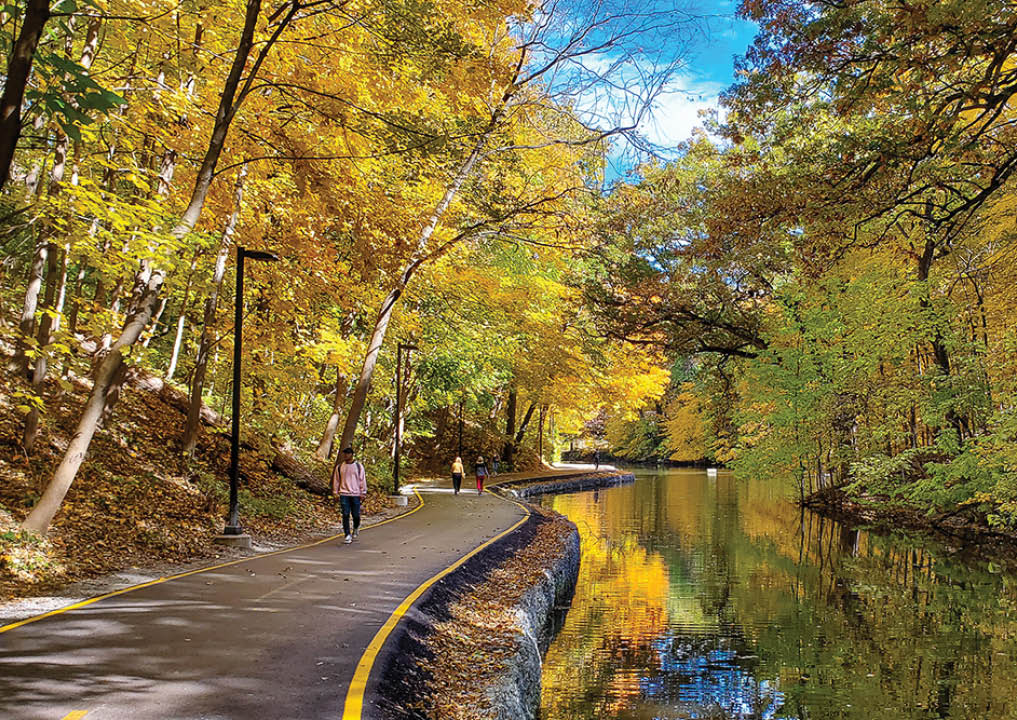 Fall 2019 campus beauty, slough, p: Greg Marty