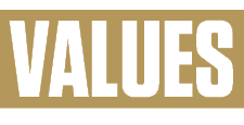 VALUES 