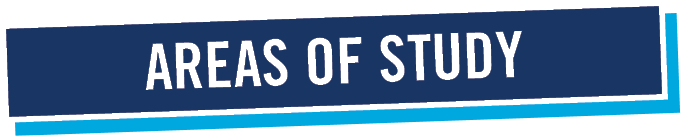 AREAS OF STUDY