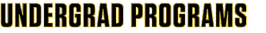 Undergrad programs