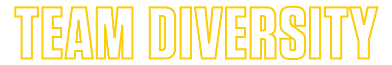 TEAM DIVERSITY