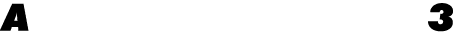A 3