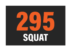 295 SQUAT