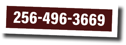 256-496-3669