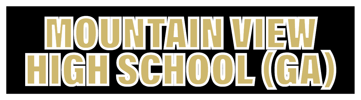 Mountain View High School (GA) 