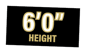 6 0  height