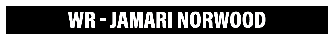 WR - Jamari Norwood