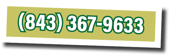 (843) 367-9633