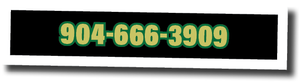 904-666-3909