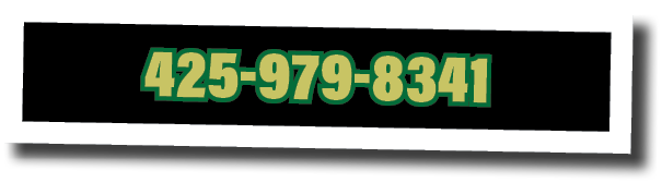 425-979-8341