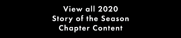 View all 2020 Story of the Season Chapter Content 