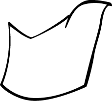 Polygon