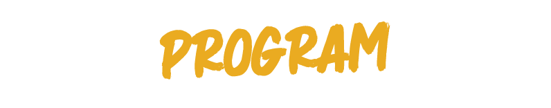 program