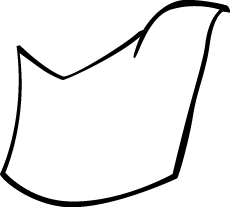 Polygon