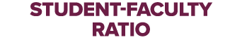 student faculty ratio