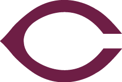 Polygon