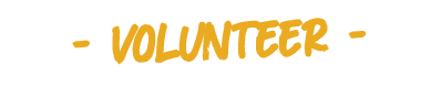 volunteer 