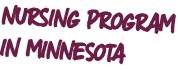 nursing program in minnesota