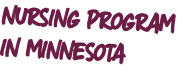 nursing program in minnesota