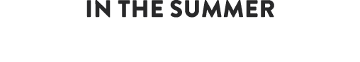 in the summer attend a summer camp schedule a visit