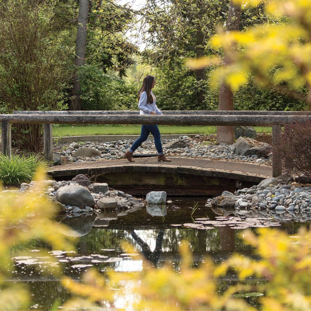 Bridge on lower campus at PLU on on Tuesday, April 26, 2016. (Photo: John Froschauer/PLU)
