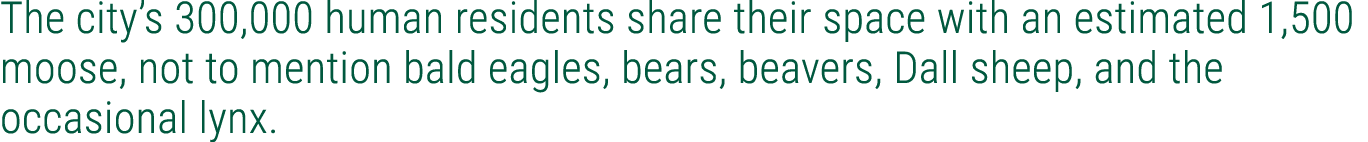 The city’s 300,000 human residents share their space with an estimated 1,500 moose, not to mention bald eagles, bears...