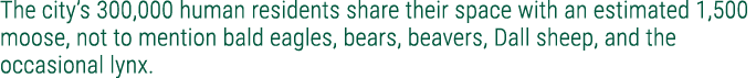 The city’s 300,000 human residents share their space with an estimated 1,500 moose, not to mention bald eagles, bears...