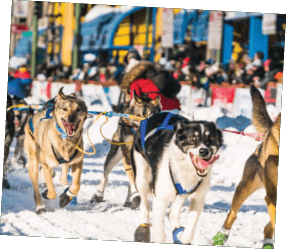 Rectangle