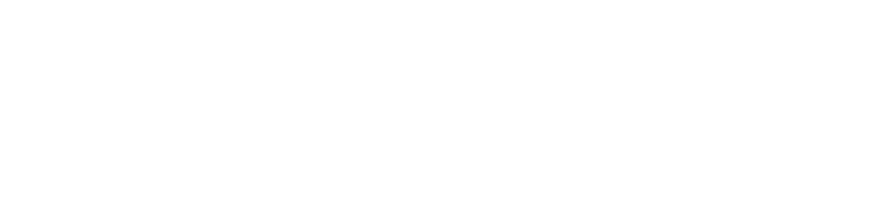  The Student Athlete Experience