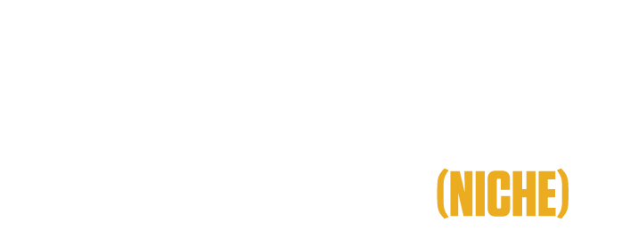 Dorms in Minnesota (NICHE) 
