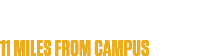 st. paul 11 miles from campus