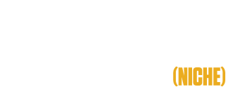 Dorms in Minnesota (NICHE) 