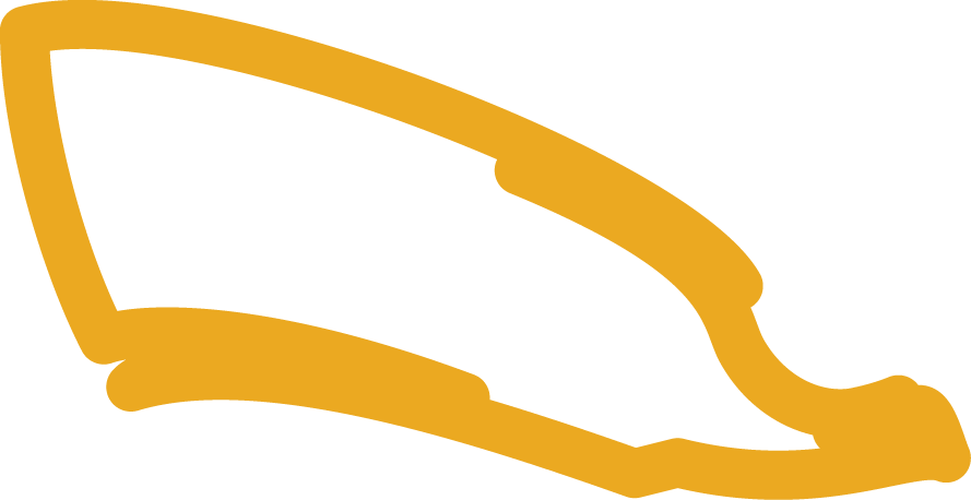 Polygon