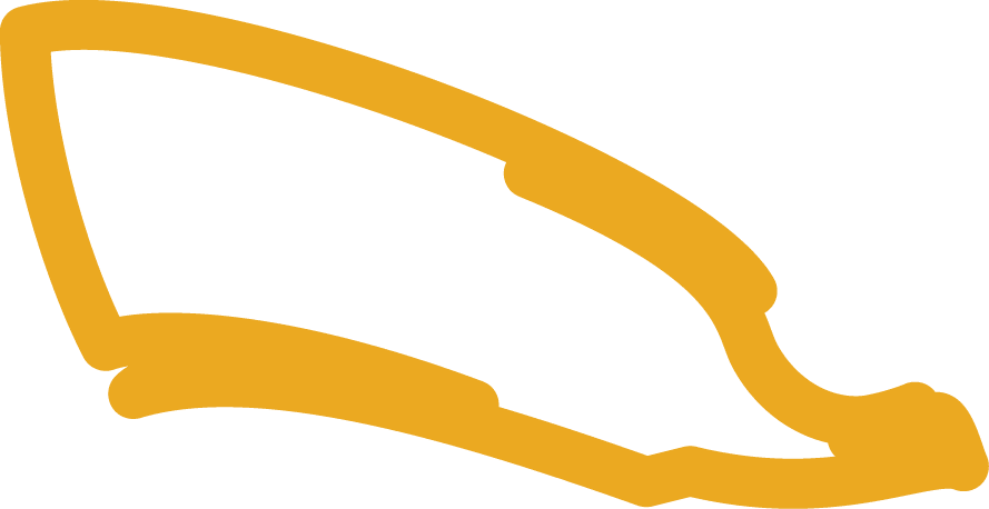 Polygon