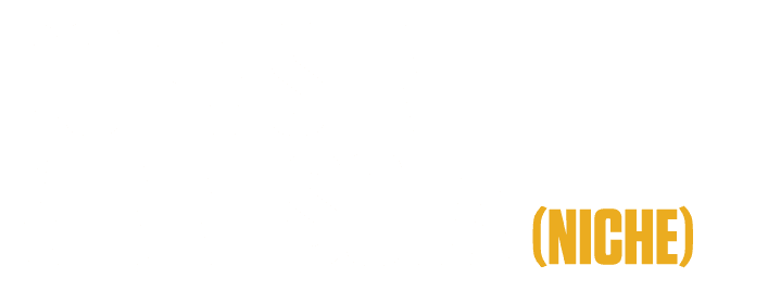 Dorms in Minnesota (NICHE) 