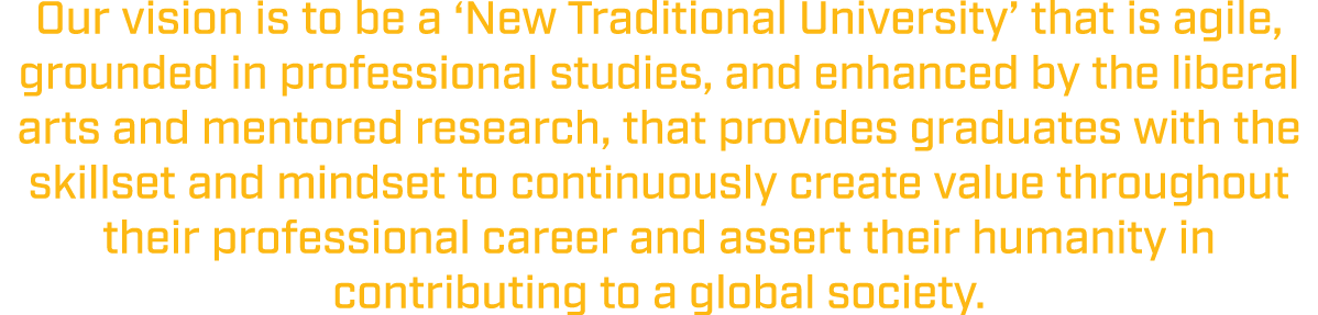 Our vision is to be a ‘New Traditional University’ that is agile, grounded in professional studies, and enhanced by t...