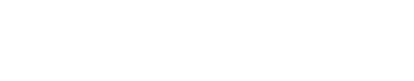 My path to WNE was a journey, but getting here felt like home. I fell in love with my team, coaches, peers, and profe...