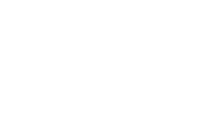 The willingness to overcome obstacles and find a way to achieve goals. Remaining passionate throughout adversity
